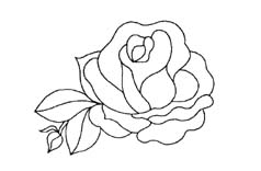 motif rose à graver sur verre